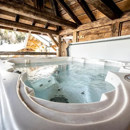 De Charme Avec Jacuzzi, Sauna Et Wifi, Proche Des Pistes - Fr-1-181-2797 La Plagne-Tarentaise